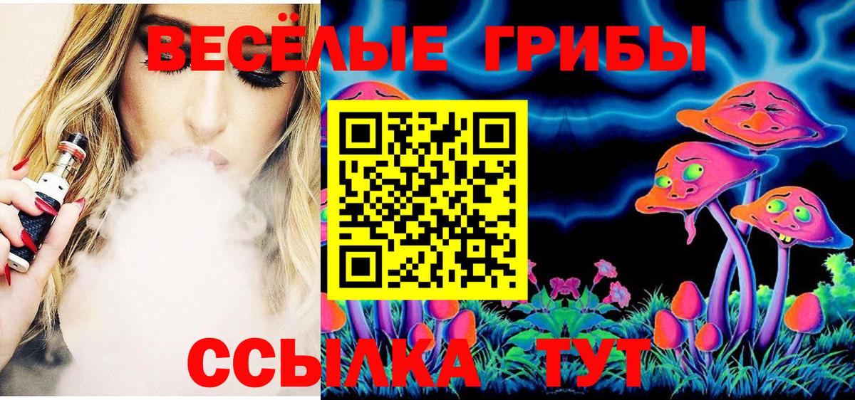 Псилоцибиновые грибы GOLDEN TEACHER Будённовск